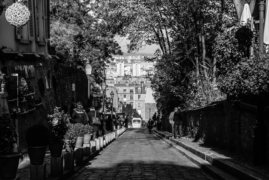 DSC-7954.jpg