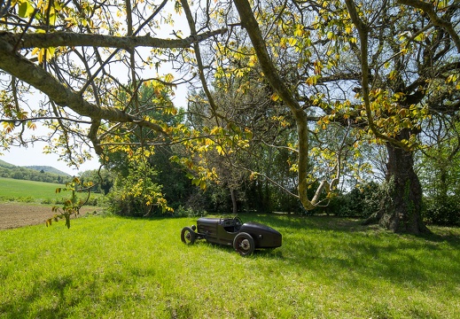 Rally Salmson - Avril 2017 (au vert)