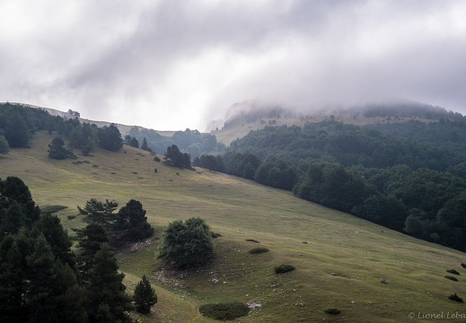 Vercors - Vallée de Combau - Tête Chevalière